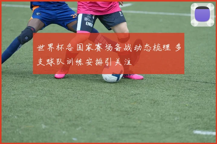 世界杯各国家赛场备战动态梳理 多支球队训练安排引关注