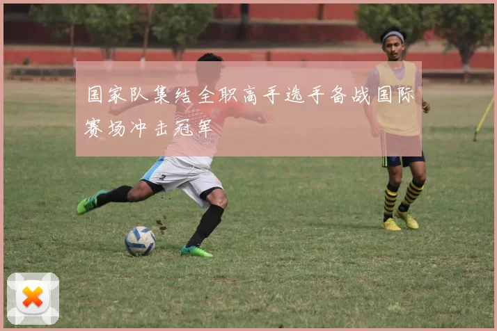 国家队集结全职高手选手备战国际赛场冲击冠军
