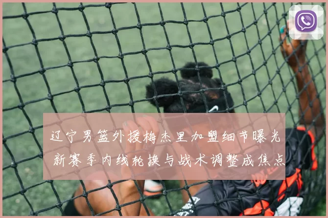 辽宁男篮外援梅杰里加盟细节曝光 新赛季内线轮换与战术调整成焦点