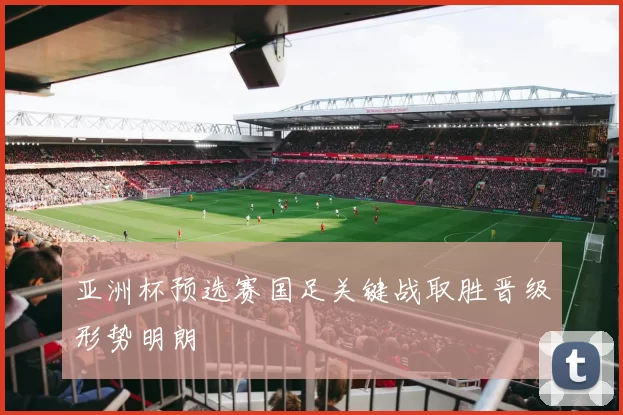 亚洲杯预选赛国足关键战取胜晋级形势明朗