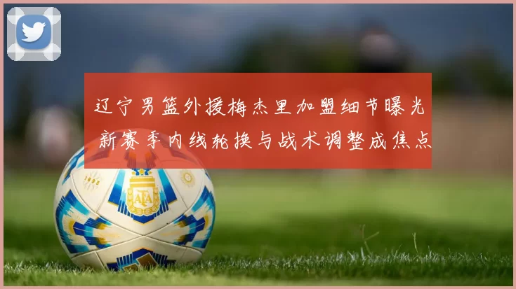 辽宁男篮外援梅杰里加盟细节曝光 新赛季内线轮换与战术调整成焦点